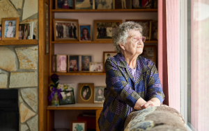 homewatchcaregivers of louisville