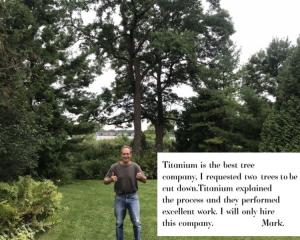 image of tree trimming farmington hills with customer review