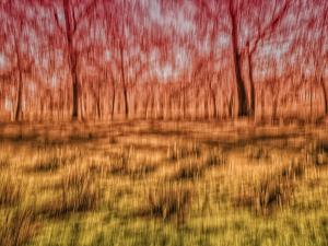 The Joy of Nature – Abstract ICM photograph with flowing reds, golds, and yellows, expressing warmth, serenity, and gentle motion in a blurred landscape.