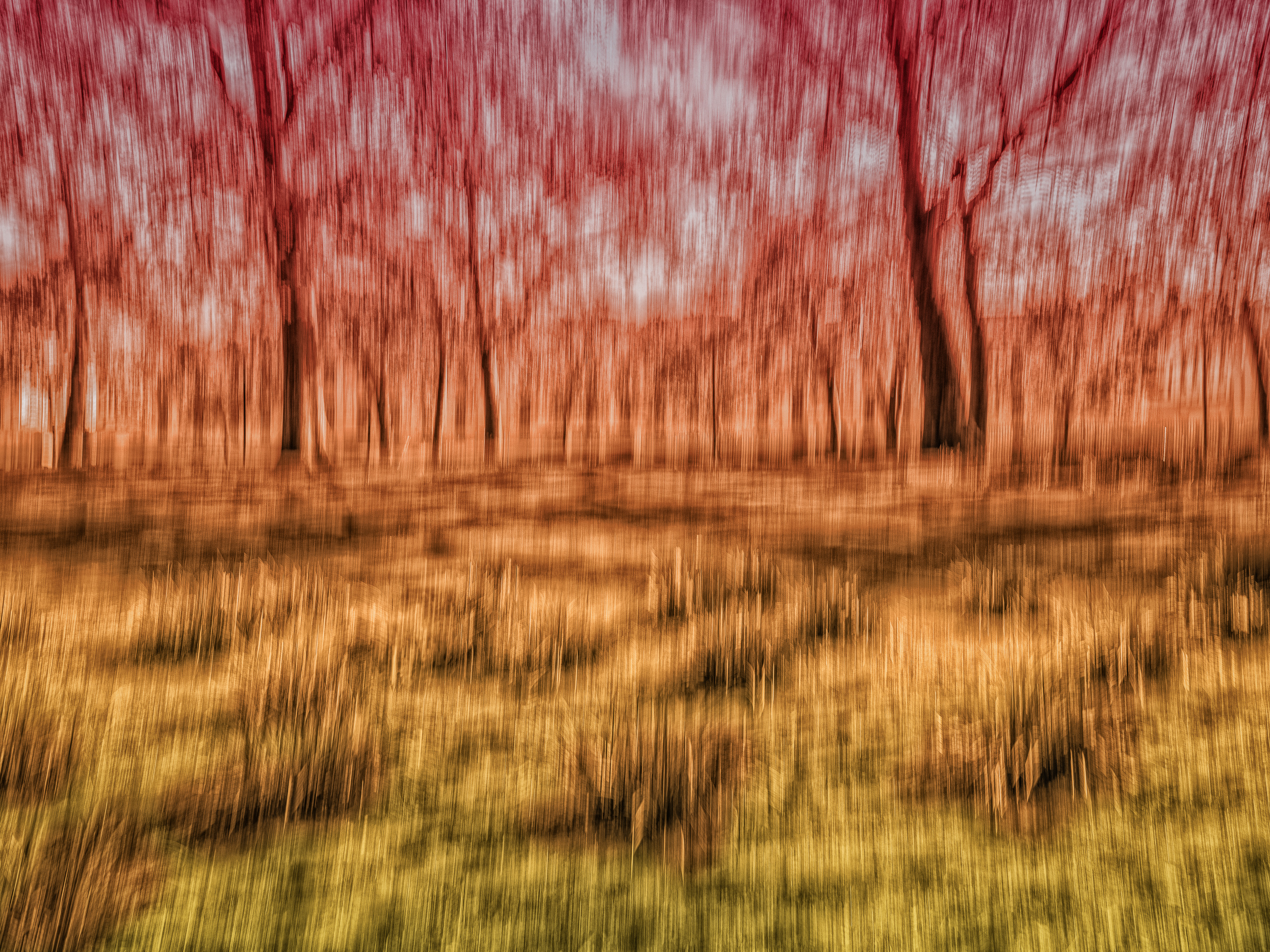 Antonina Minova Introduces a New Vision of ICM Abstract Photography in Limited Edition Fine Art Prints