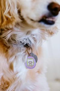 Close up of dog wearing Barkada's Custom Designed Tamagotchi Inspired Pet ID Tag hanging on dog collar