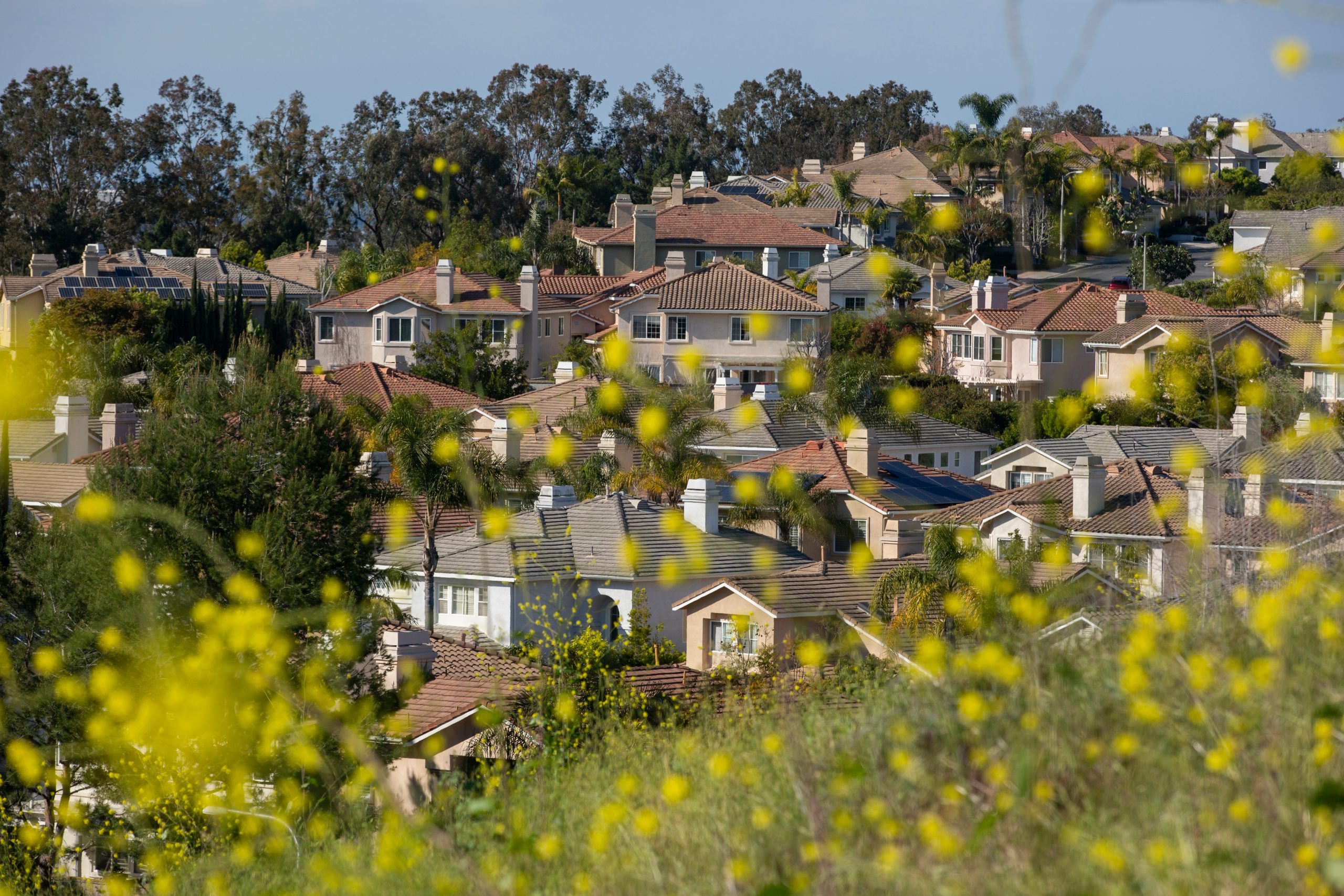 Living in California Releases 2026 Guide to Living in Irvine