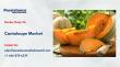 Cantaloupe Market to Reach US$6.9 Bn by 2033 Driven by Rising Health Demand Globally