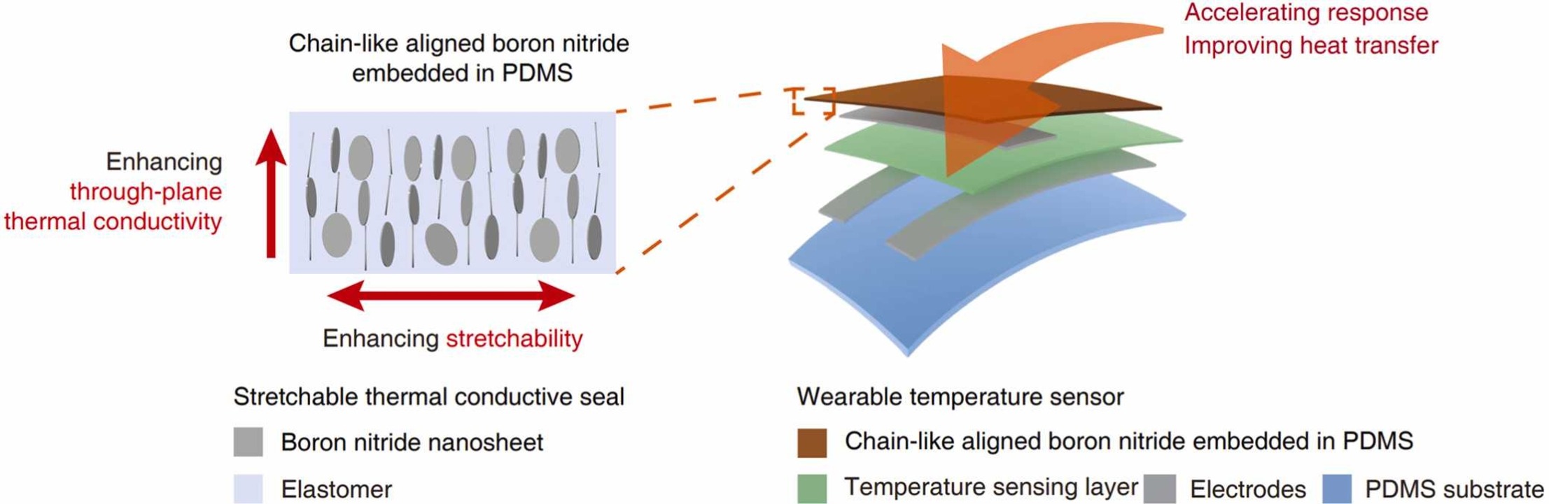 Chain-like aligned boron nitride embedded in elastomer for thermal management in wearable electronics
