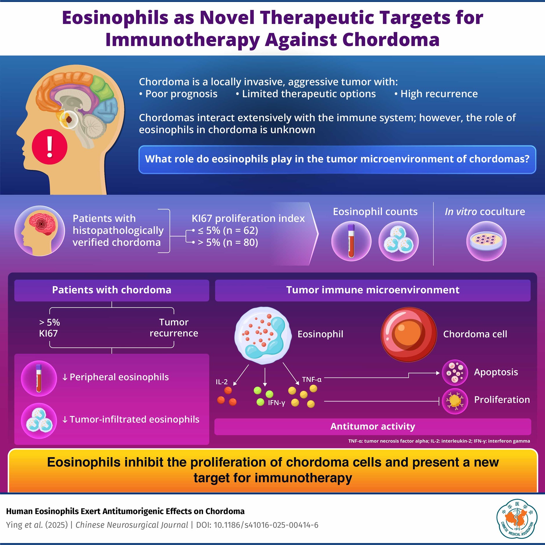 Chinese Neurosurgical Journal Highlights Eosinophils as a Potential Target in Chordoma Treatment