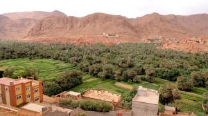 Todgha Valley - Tinghir Morocco