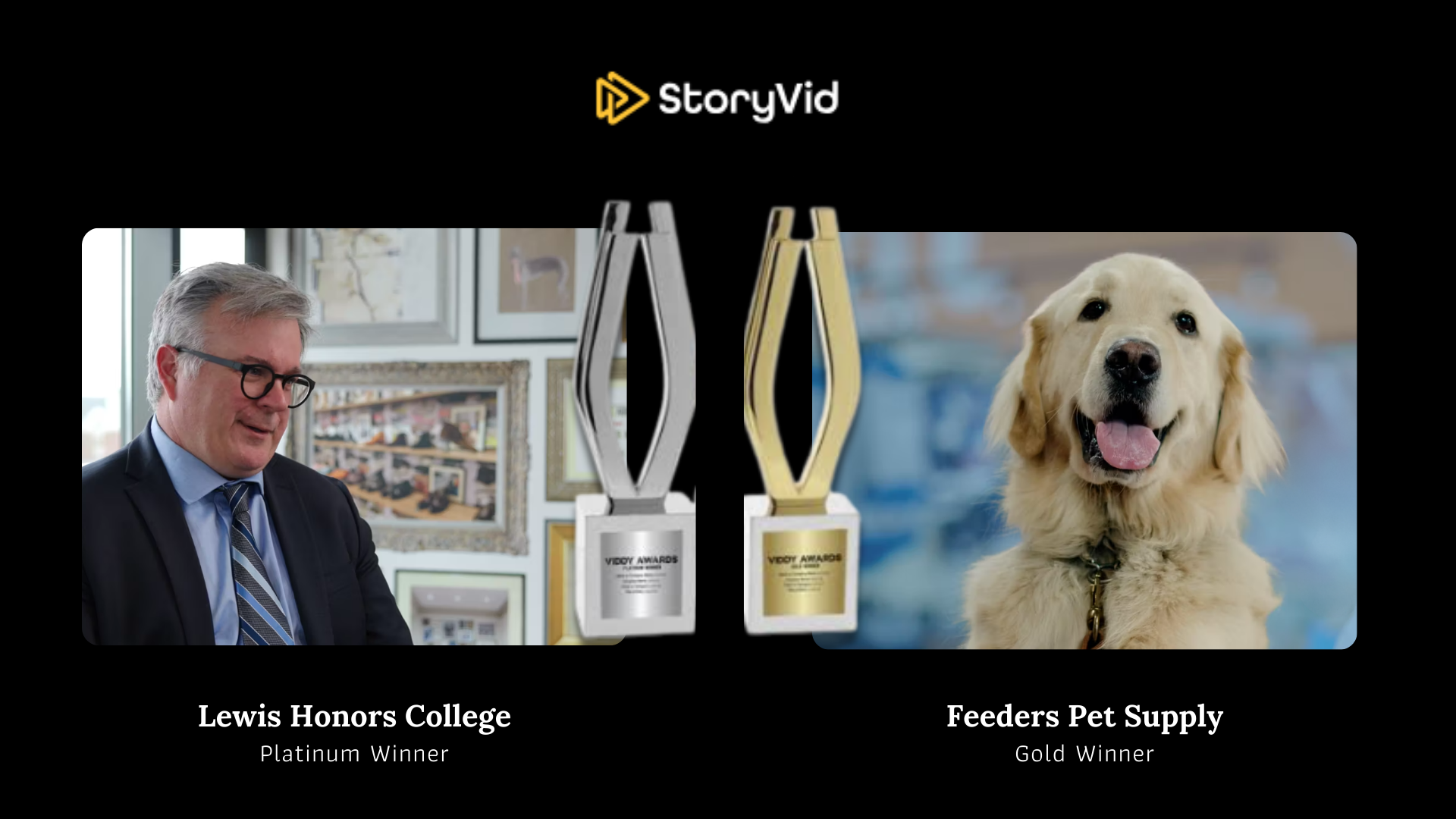 StoryVid, A Lexington Video Production Company, Named Platinum and Gold Winners at Viddy Awards
