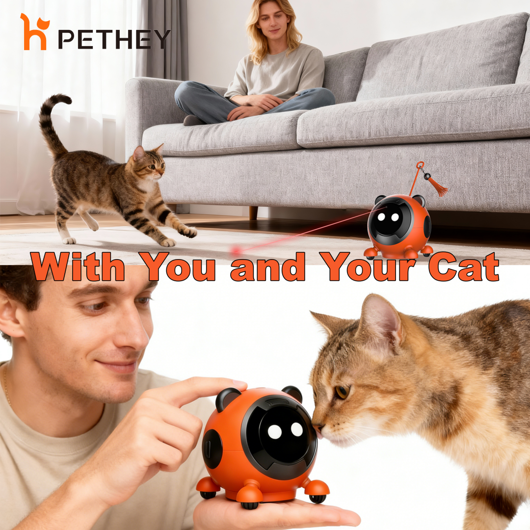 WILL Opens on Kickstarter Pre-Launch, Blending Cat Play and a Responsive Companion Presence for Owners