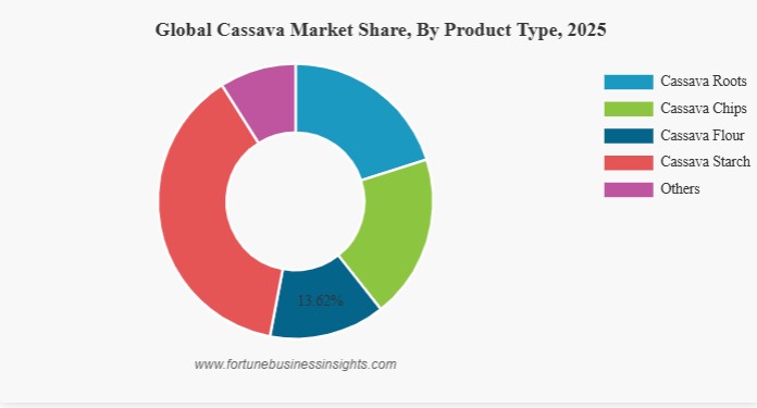 Global Cassava Market Forecast to Reach USD 202.90 Billion by 2034, Growing at a 5.33% CAGR (2026-2034)