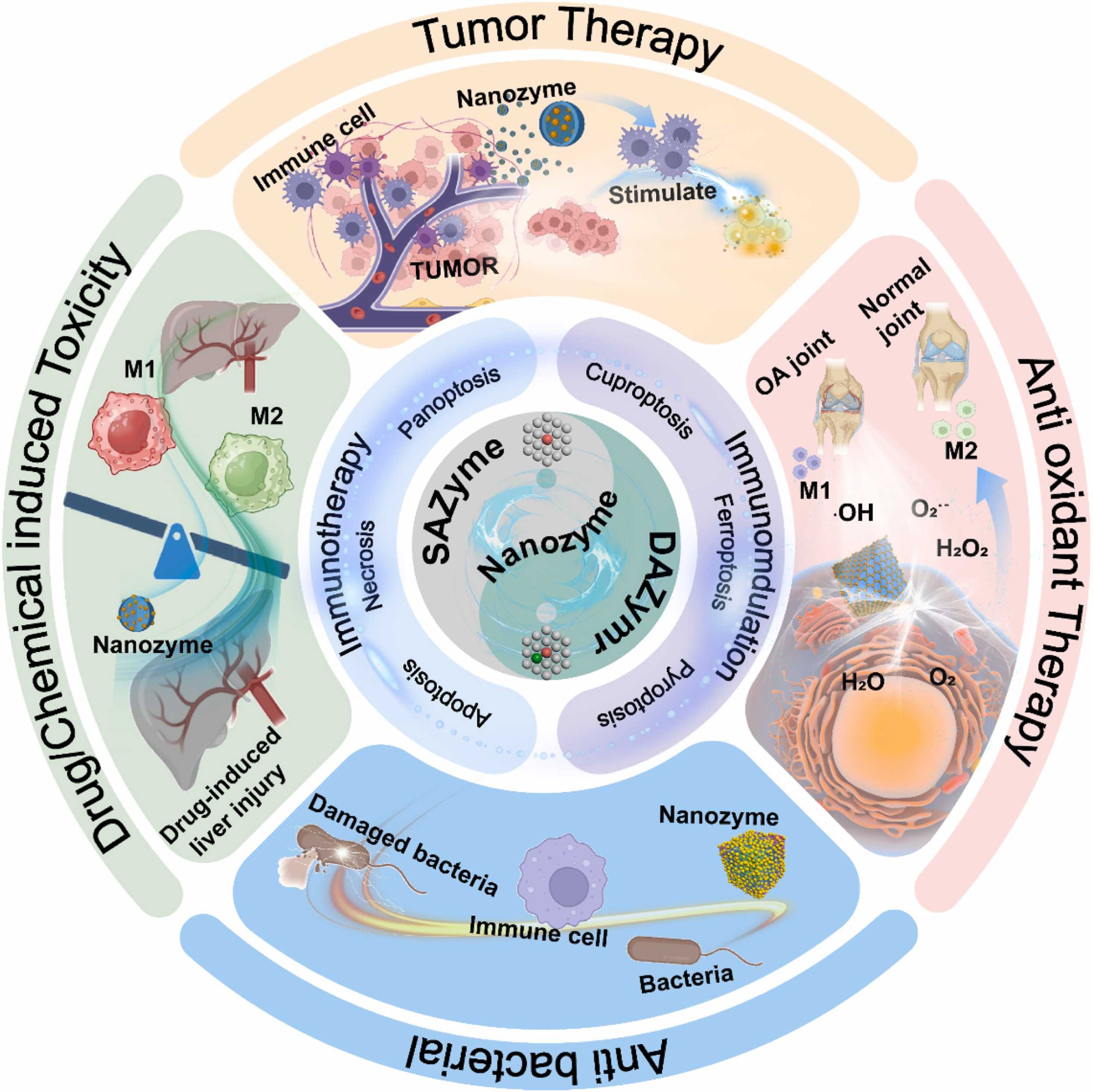 Atomically Engineered Nanozymes for Immunotherapy and Disease Treatment