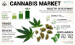 Cannabis Market Size to Reach USD 444.34 Billion by 2030 | CAGR 34.03%