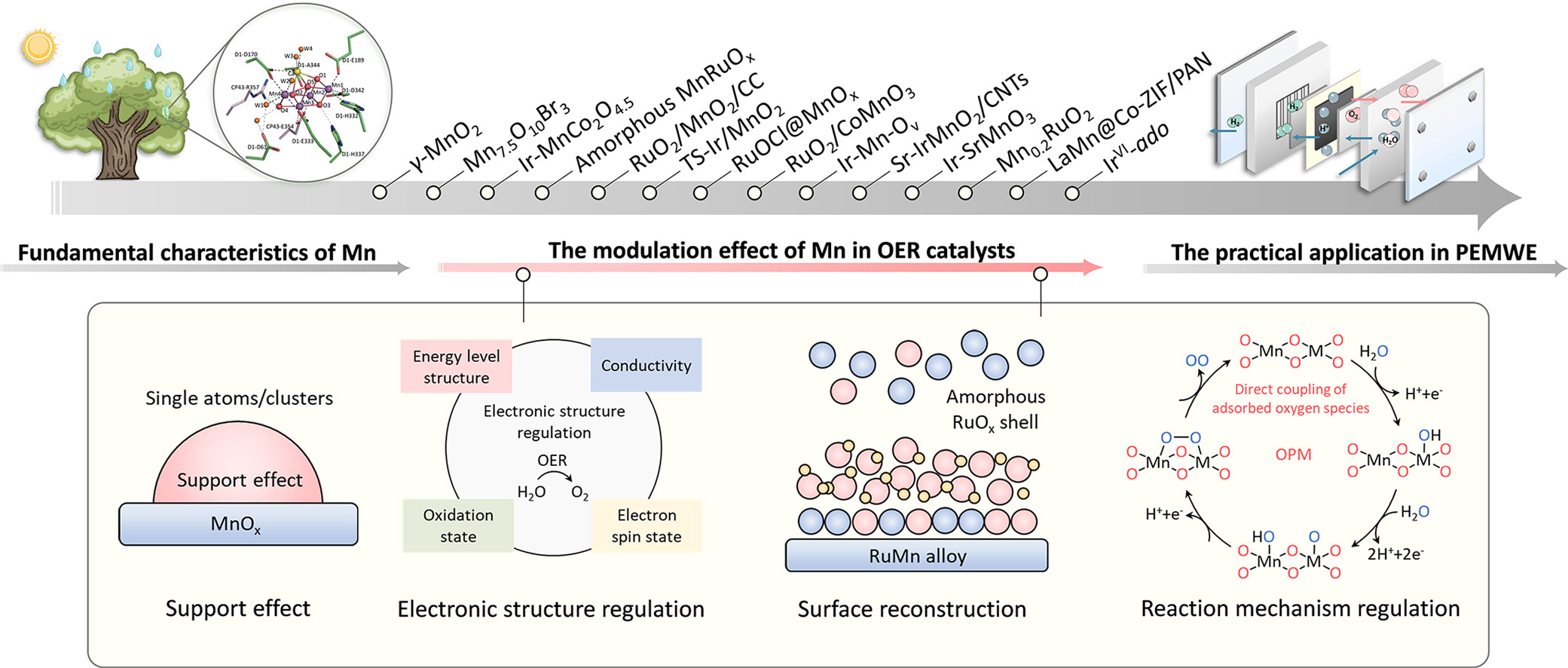 Can manganese unlock affordable green hydrogen in acidic water electrolysis?