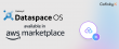 Dataspace OS by Cofinity-X is now available in AWS Marketplace and on AWS infrastructure
