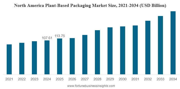 Plant-Based Packaging Market Growth Outlook: Drivers, Trends & Regional Insights