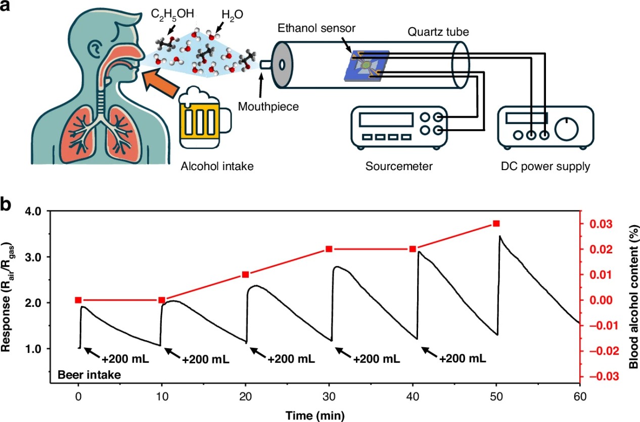 Tiny nanosheets, big leap: A new sensor detects ethanol at ultra-low levels