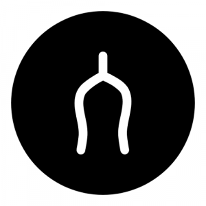 Wishbone Advisory Logo