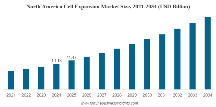 Cell Expansion Market In-Depth Analysis and Competitive Landscape Report 2026-2034