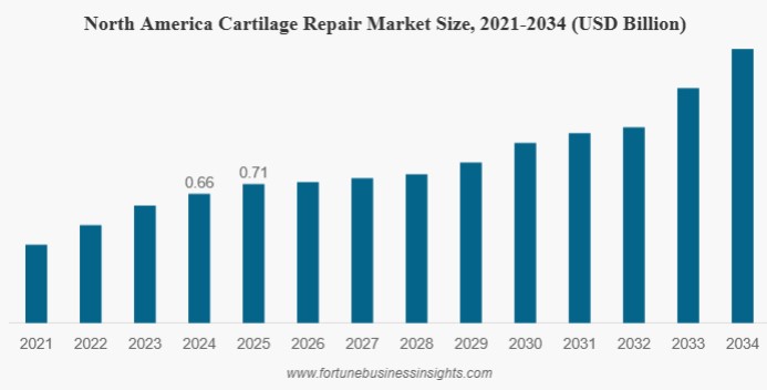 Global Cartilage Repair Market Report 2026: Valued at USD 1.58 Billion in 2025, Forecast to 2034