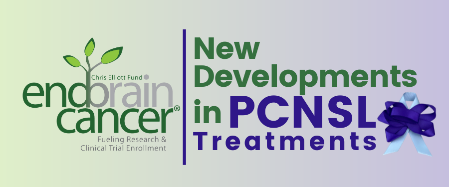 Registration Open for the New Developments in PCNSL Treatment Webinar Hosted by the End Brain Cancer Initiative