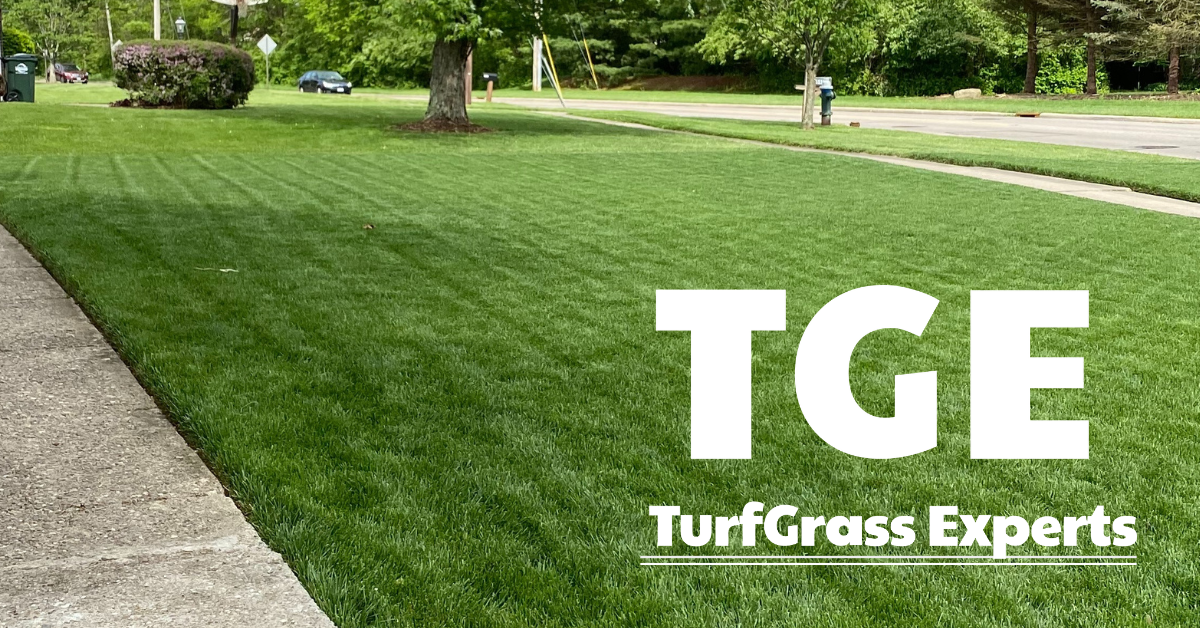 TurfGrass Experts Opens Northern Kentucky Office – NKY Lawn Care Expansion