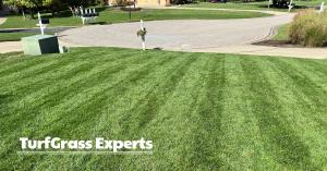Looking from porch toward the a cul-de-sac across a healthy, thick, green lawn freshly mowed with straight mover lines