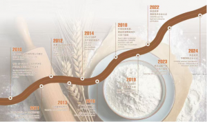 The evolution of the company