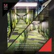 Tunnel at The Westminster Schools is Transformed into a Multi-Sensory Nature Experience by MIller EG Design