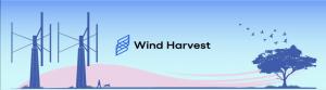 Wind Harvest Blue Dog