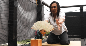 24646849 godzilla game