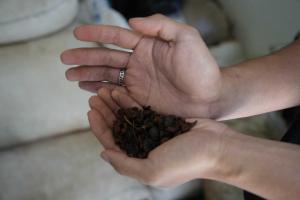 The Source: Upcycling Coffee Pulp Waste