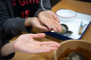 Toba Tourism Association_EN_pic2