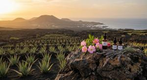 prirodna kozmetika kanarske ostrovy