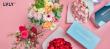 LVLY Reimagines Flower Gifting with Artfully Curated Jar Posies Across Singapore and Hong Kong