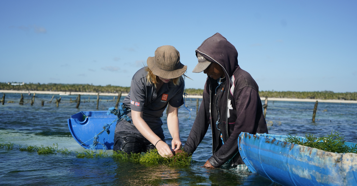 Builders Vision Takes Strategic GP Stake in Hatch Blue, Signaling Global Confidence in Aquaculture’s Next Growth Phase