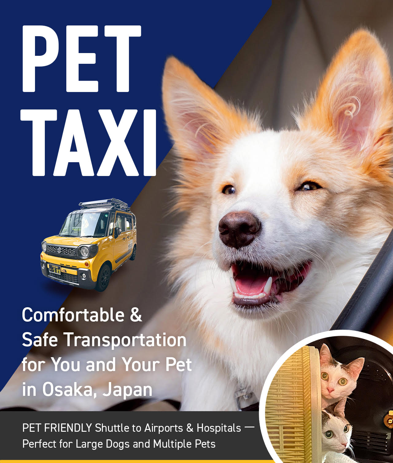Animal Hospital Access and Pet-friendly Travel in Japan Streamlined by Comasuke’s One-Stop VIP Dog Support