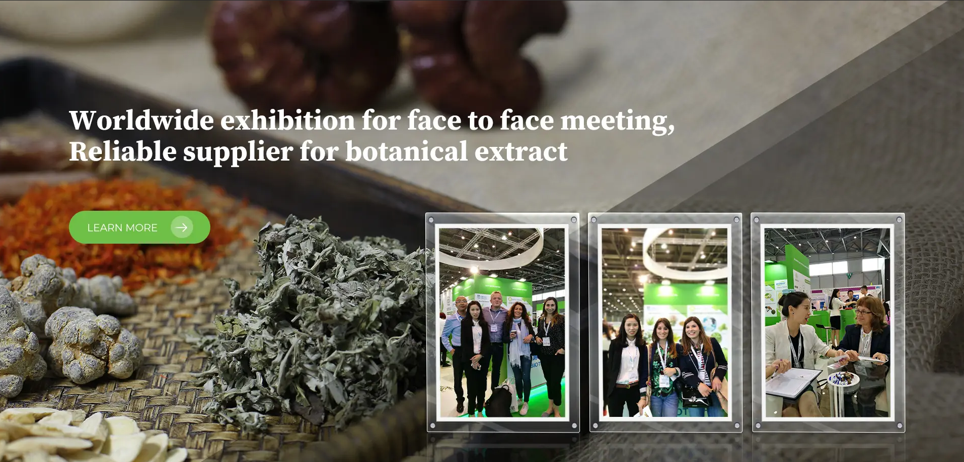 Andy Biotech – a Standout China Monk Fruit Extract Sweeter Manufacturer