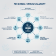 The Molecular Beauty Era: Global BioSignal Serums Market Projected to Hit USD 11.4 Billion by 2036