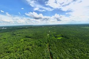 7 Bldg Lots w/Perk Sites & VDOT Appvd Entrances in Lunenburg County, VA set for Auction Announces Nicholls Auction Mktg 22 7 wooded Lunenburg County estate lots: Lot 1--29± acres; Lot 2--34.67± acres; Lot 3--37.32± acres; Lot 4--21.02± acres; Lot 5--38.92± acres; Lot 6--27.02± acres; and Lot 7--26.27± acres. • Soil work has been completed for perk sites • $217,000 of Appraised Timber Value.