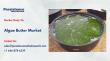 Algae Butter Market to Reach US$2.6Bn by 2033, Driven by Sustainable Demand