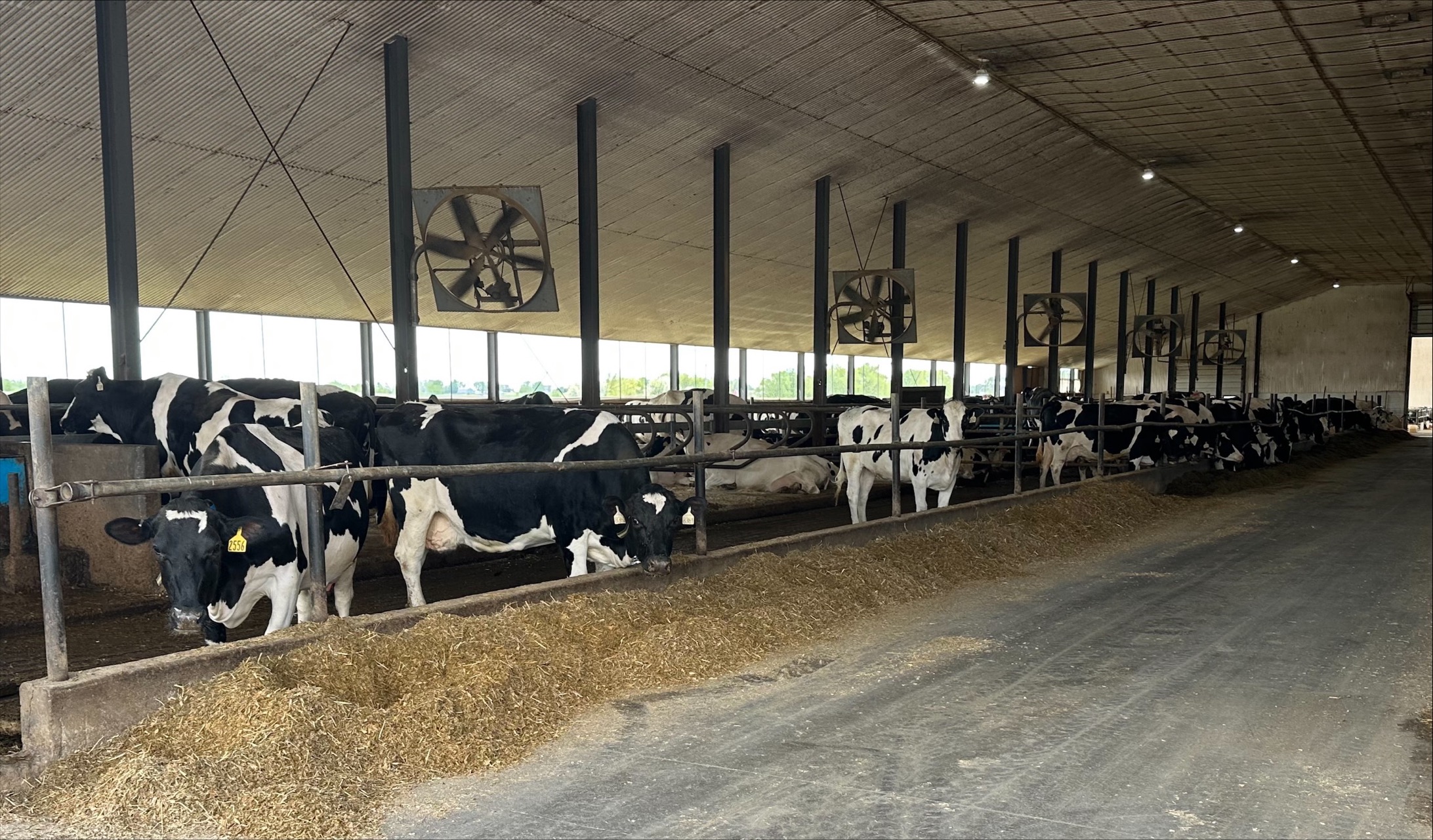 GSR Solutions Advances Bolt-On Regenerative Organic Platform for Dairy Farms and Digesters