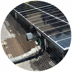 Bird netting installed under residential solar panels to prevent pigeons from nesting and protect wiring from damage.
