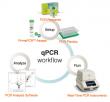 Real-Time PCR (qPCR) Market to Reach US$ 5.8 Billion by 2033 at 7.4% CAGR | Persistence Market Research