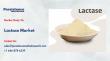 Lactase Market to Reach US$ 474.3 Mn by 2033 at 5.9% CAGR Driven by Demand