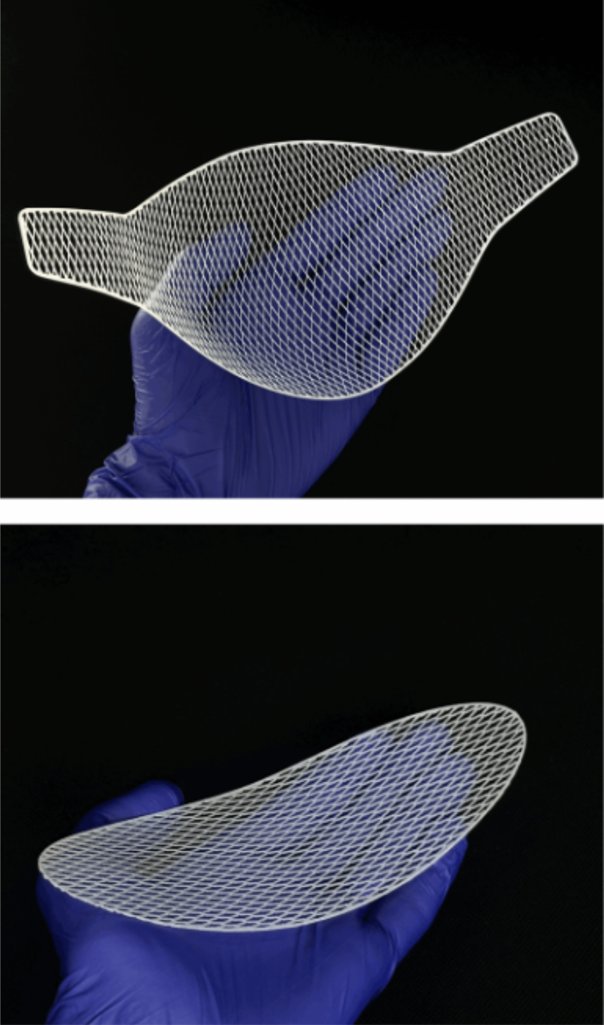 PrintBio Contributes 3D Bioprinting Expertise to ARPA-H PRINT Program for Kidney Bioprinting