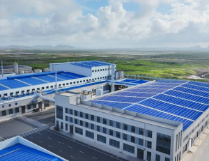 BOPP film manufacturer