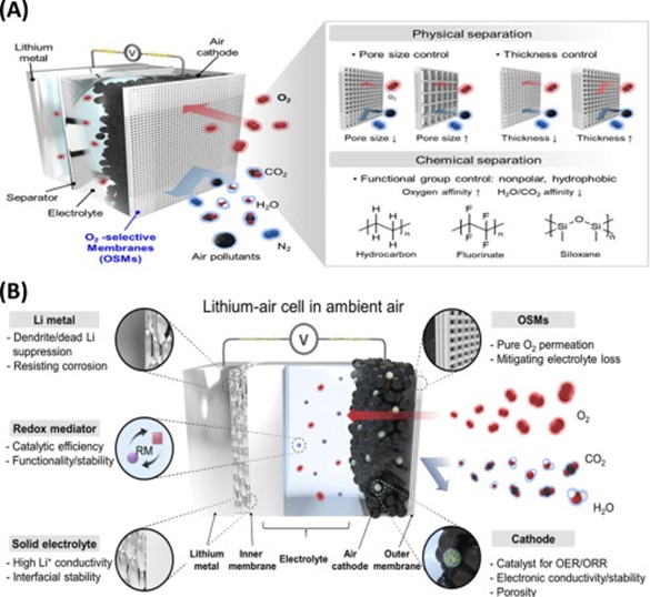 Next-generation batteries could redefine the future of energy storage