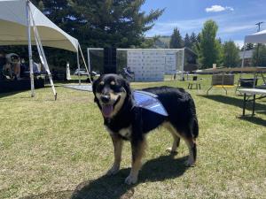 Charlie dressed in butterfly wings during The Grand Butterfly Gathering 2025 in Jackson, Wyoming. Photo: Ryan McCartney/Jessica McGannon.