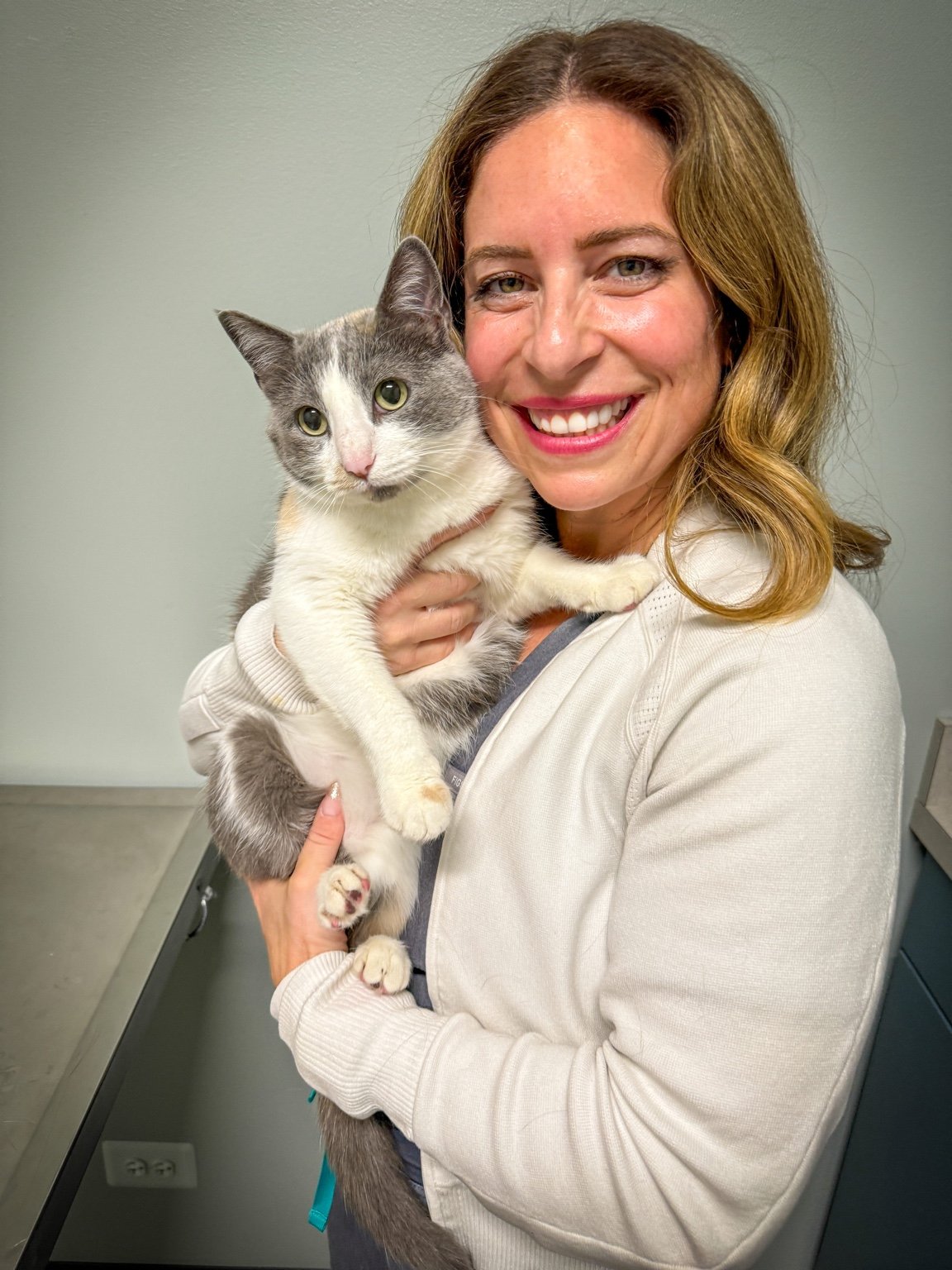 Dr. Natalie Marks Joins OpenVet as Chief Veterinary Officer
