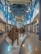 Indiana Welcome Center Project by Midwest Terrazzo Wins 2026 NTMA Honor Award 