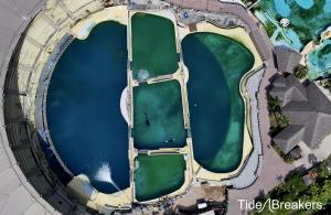 Des images de drone montrent des orques captives piégées dans des bassins en ruine au Marineland d’Antibes, en France.